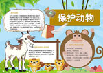 动物小报