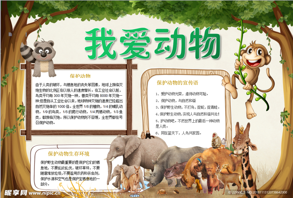 动物小报
