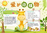 动物小报