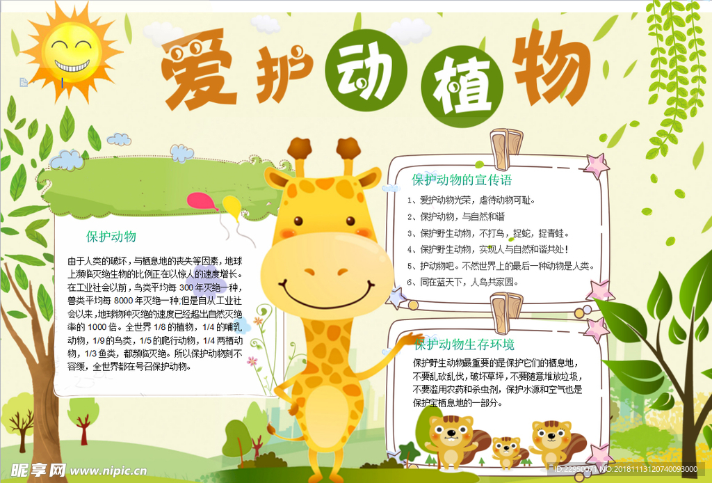 动物小报