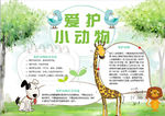 动物小报