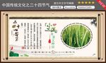 小满