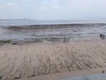 海边 海湾 深圳湾 海边公园