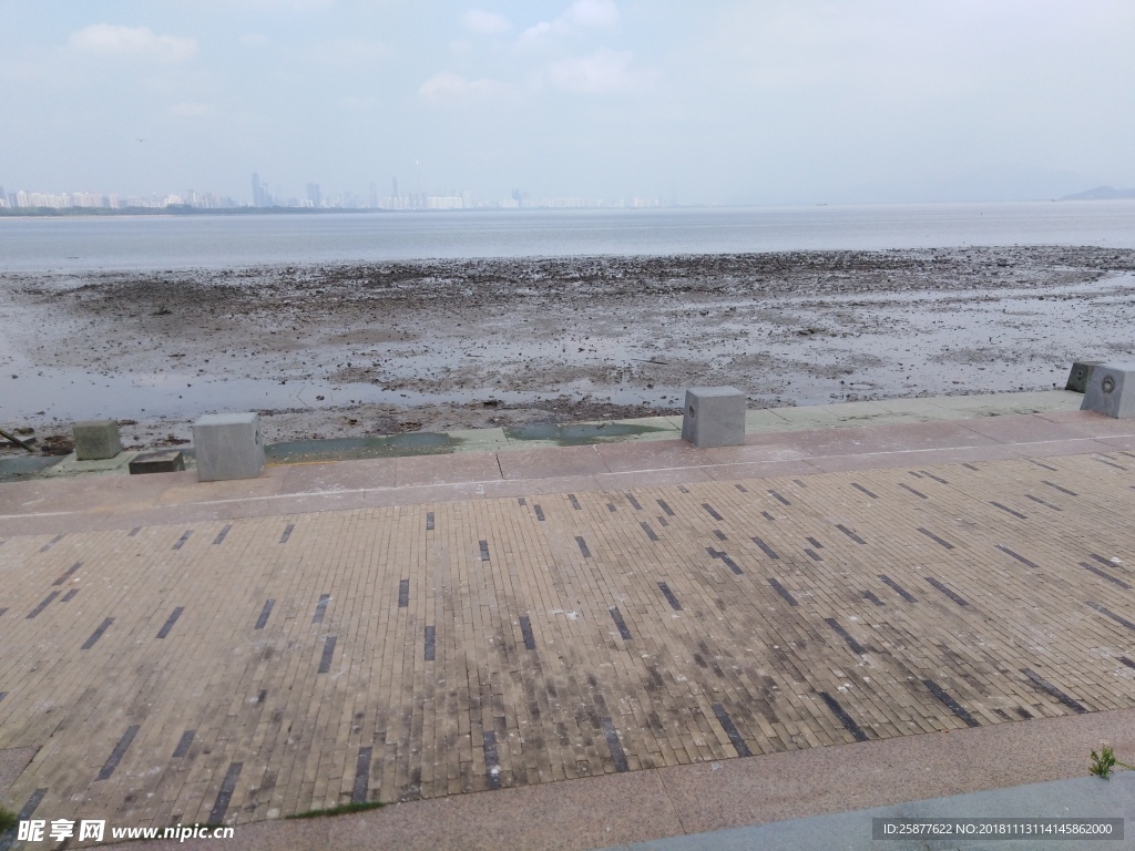 海边 海湾 深圳湾 海边公园