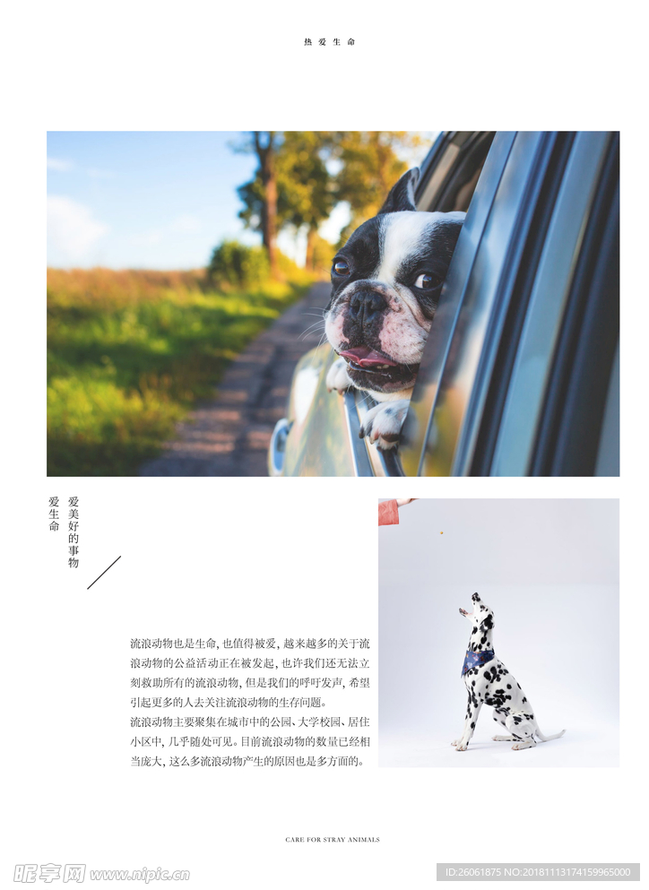 宠爱