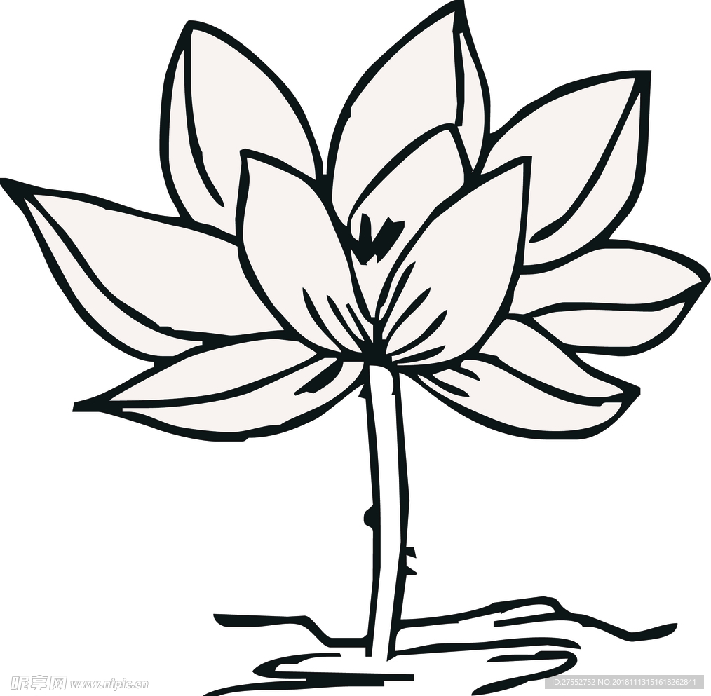 线描荷花