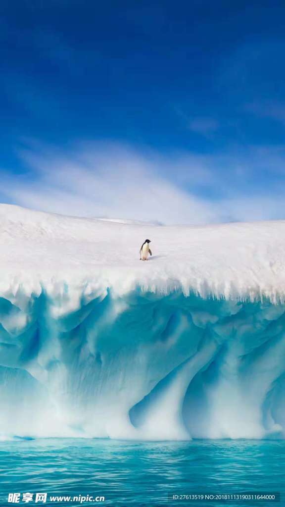 冰雪上的企鹅图片