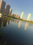 湖 倒影 建筑物 高层
