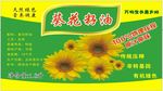 葵花籽油