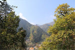 原始森林