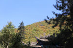 兴隆山