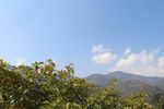兴隆山