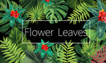 清爽花边海报
