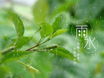 雨水、雨季海报