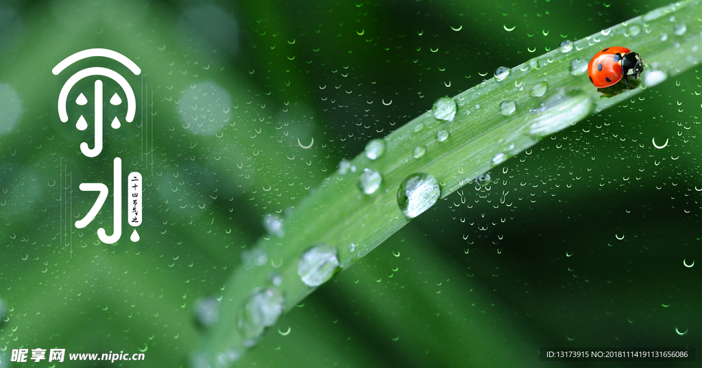 雨水、雨季海报