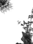 中国风背景