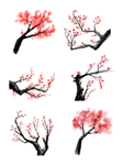 花素材 花枝 梅花素材 中国风