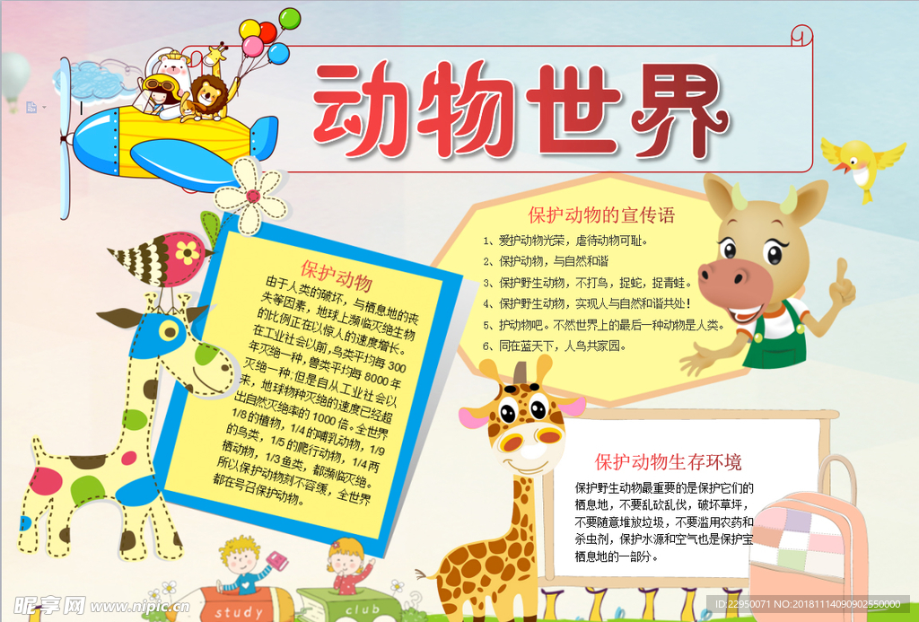 动物小报