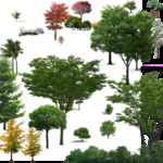 效果图植物素材psd分层，