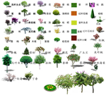 效果图素材植物很多的植物小乔木