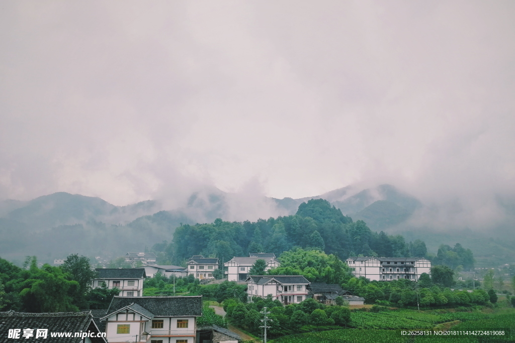 稻田 山坡 蓝天