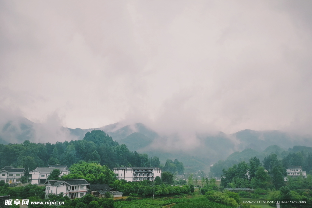 稻田 山坡 蓝天