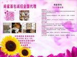闺蜜面包DM