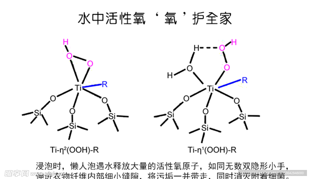 实力认证 O2泡 详情页 洗洁