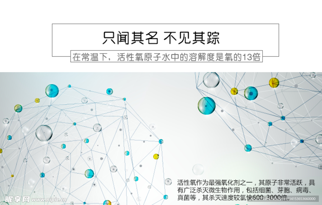 分子