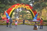 菊展景点