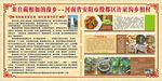 向村皮渣