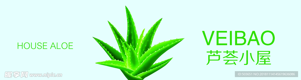 芦荟
