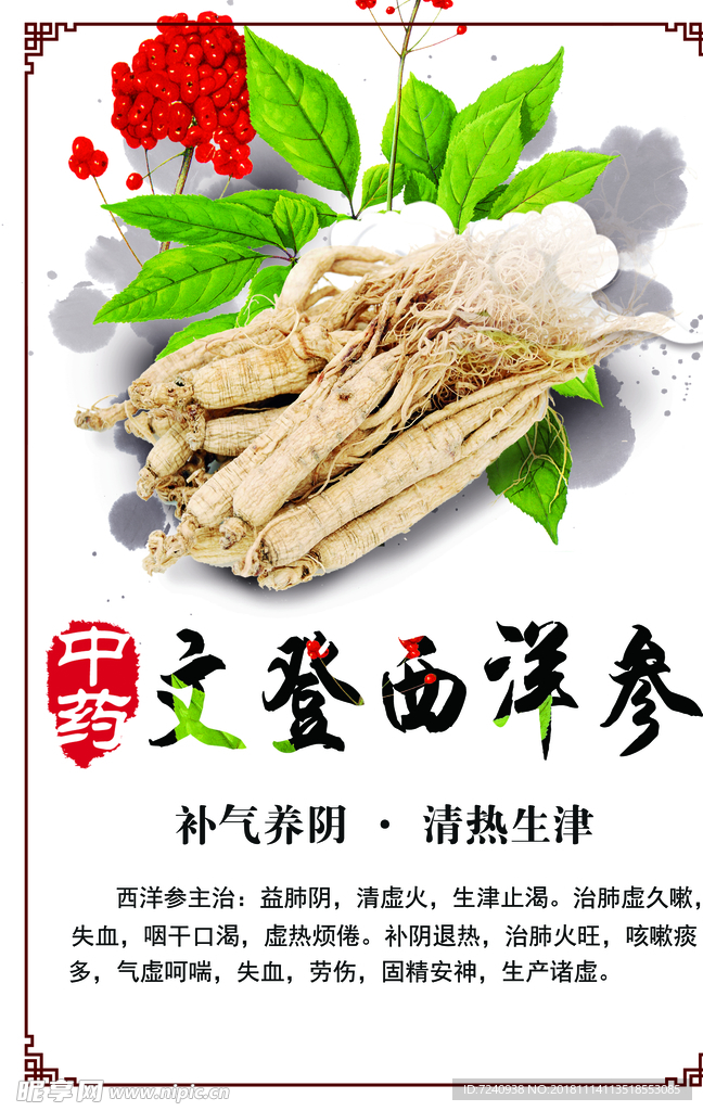 西洋参白参海报A4