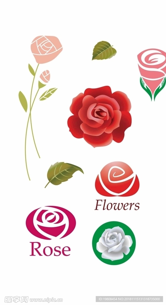 精美花朵图片