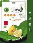 柚子包装