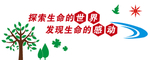 校园文化墙