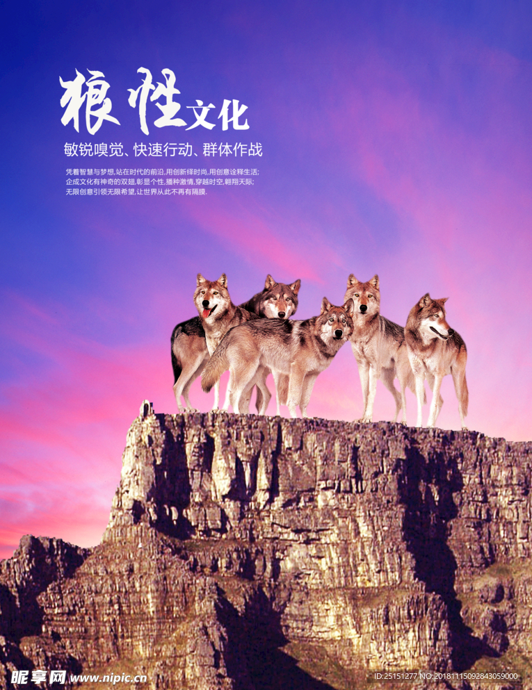 企业文化展板  展架