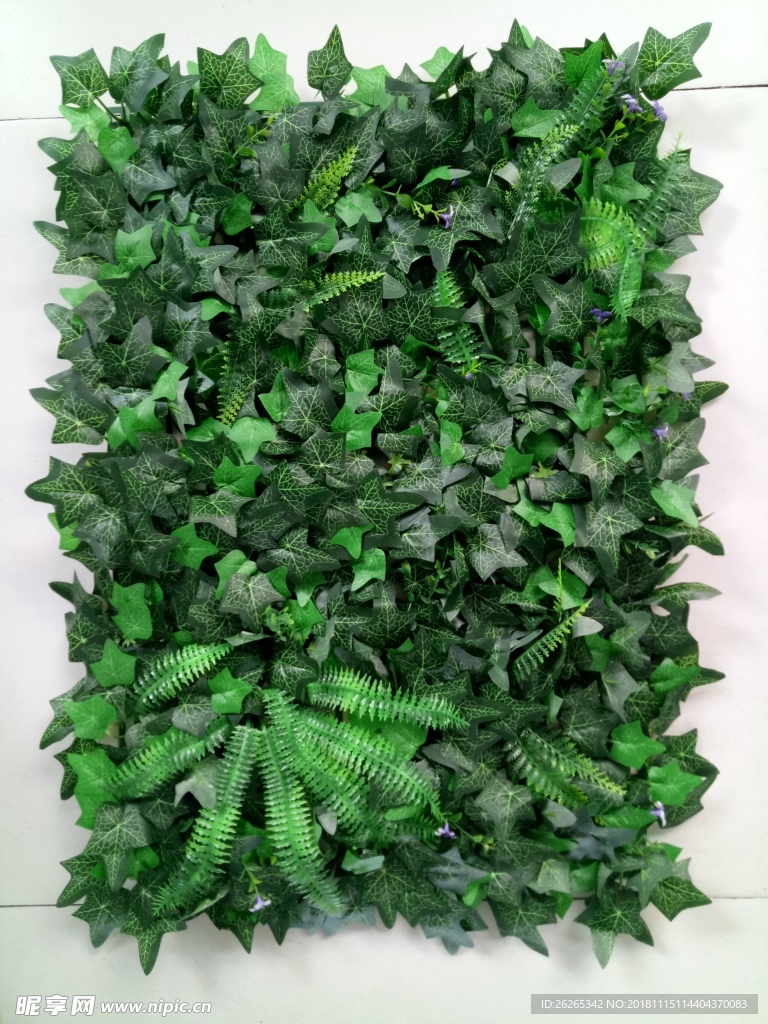 植物墙