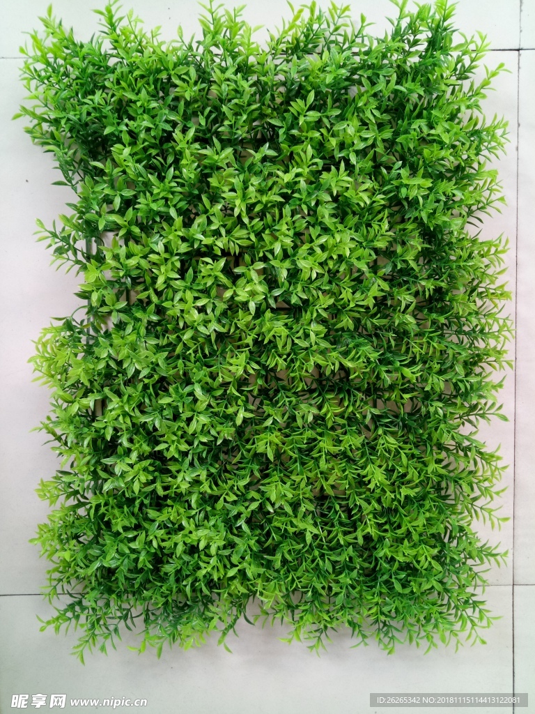 植物墙