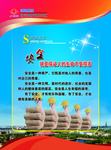 安全文化