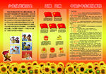 五旗  五徽少先队