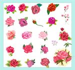 花瓣