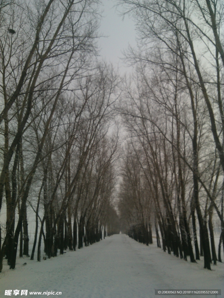 小路