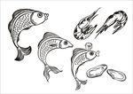 手绘线描鱼