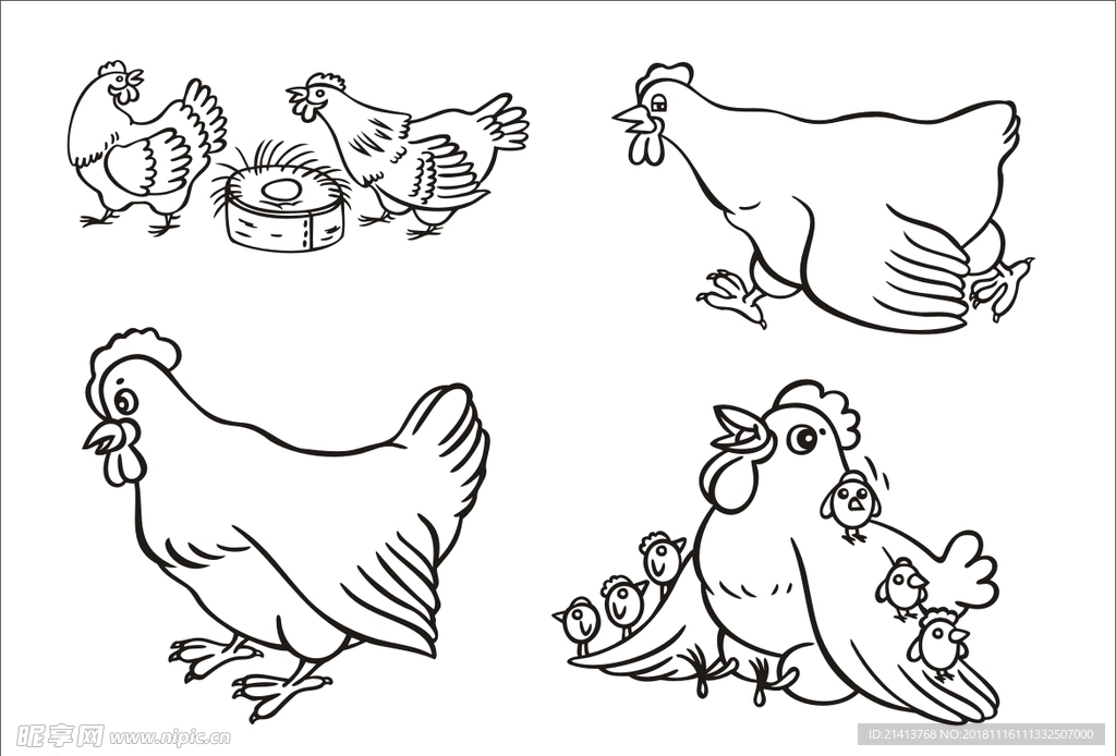 手绘线描小鸡