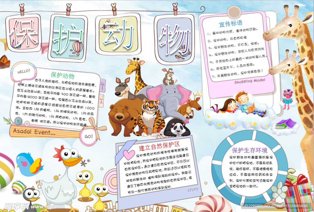 动物小报