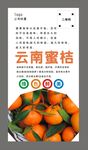桔子海报