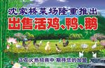 沈家桥菜场