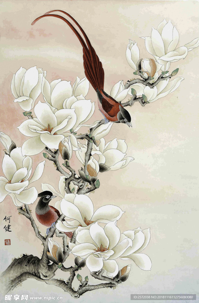 玉兰红鹊