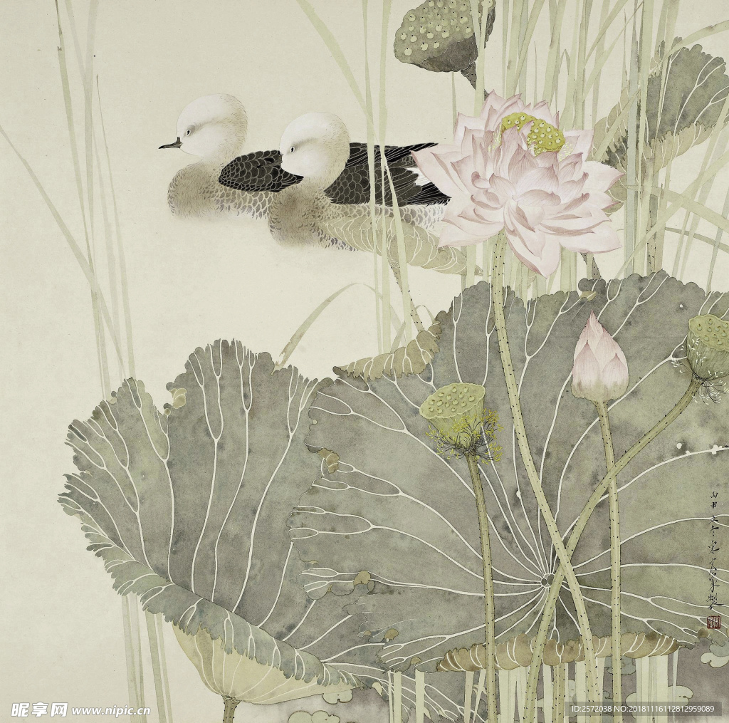 荷花水鸟图